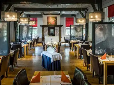 Fletcher-Restaurant De Broeierd - 17