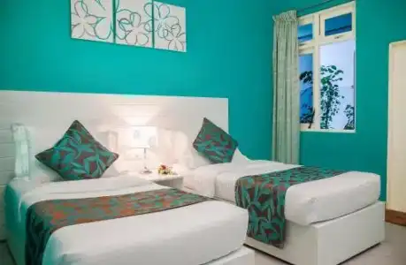 Island Host - 1