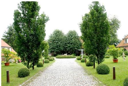 Romantik Friederikenhof Restaurant & Spa - 19