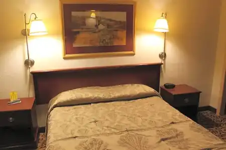 Happy Bear Motel - 27
