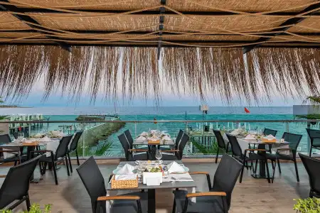 White City Resort - 34