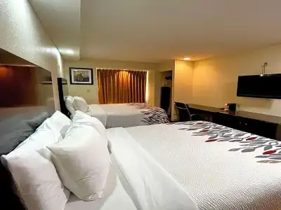 Quality Inn & Suites Augusta Fort Gordon Area - 39