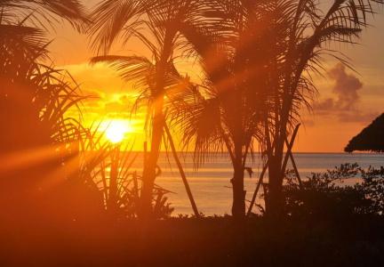 Zanzibar White Sand Luxury Villas & Spa - 16