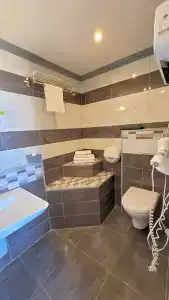 Hôtel Le Dauphin Bleu - 65
