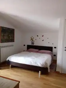 Sally's B&B - 0