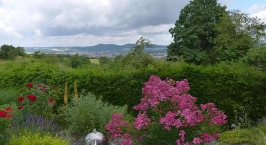 Pension Schöpke - 45