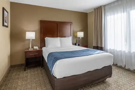 Comfort Inn & Suites Ventura Beach - 3