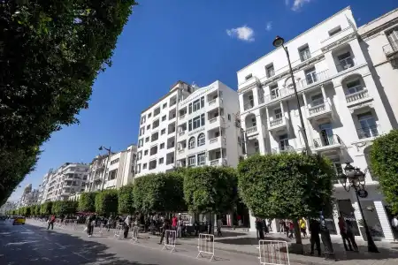 Carlton - 1