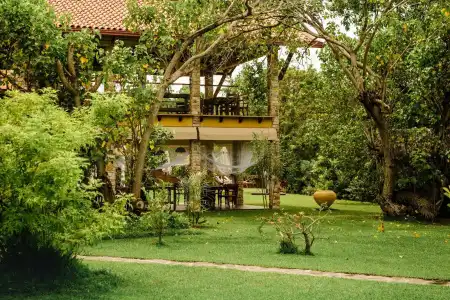 Thaulle Pure Ayurveda Resort - Yala - 46