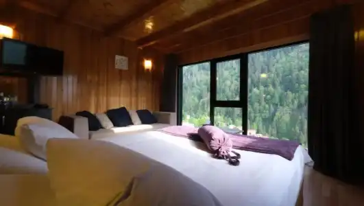 Ayder Villa de Pelit - 29