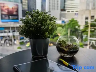 The Connex Asoke - 67