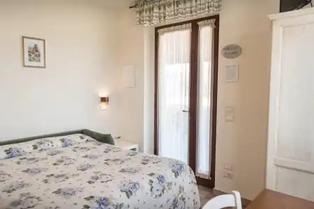 Rosa di Assisi - 115