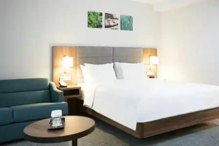 Hilton Garden Inn Bucharest Old Town - 13