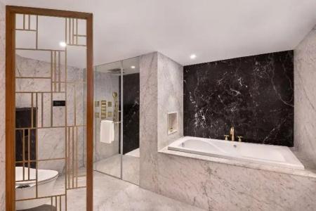 Radisson Blu & Suites GRT Chennai - 135