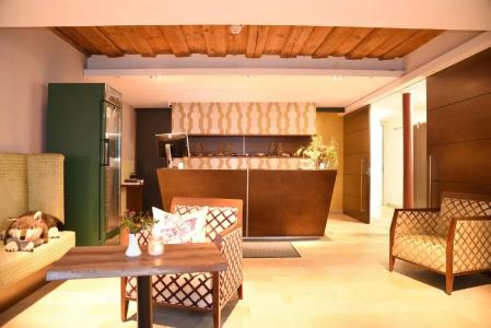 AltstadtGrauer Wolf - 17