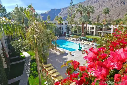 Palm Mountain Resort and Spa - 15