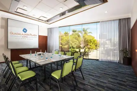 Guadalajara Plaza Expo Business Class - 34
