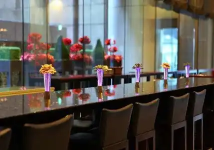 Villa Fontaine Grand Tokyo - Roppongi - 21