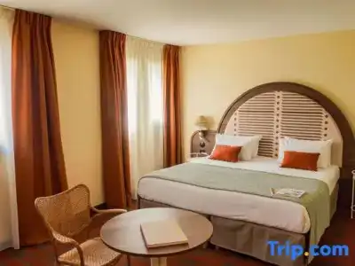 Mercure Arles Centre Arenes - 85