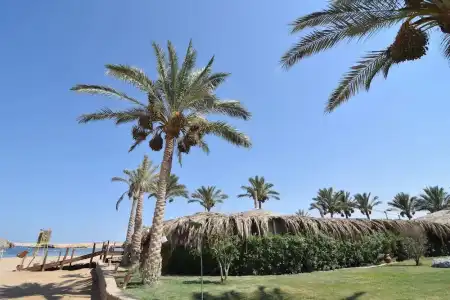 Sharm El Naga Resort and Diving Center - 27