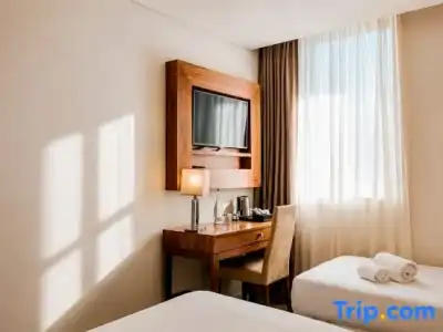 Premium Porto Downtown - 59