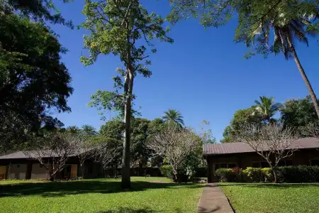 Tanoa Skylodge - 18