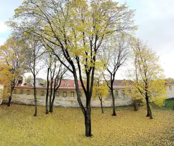 Domus Maria - 11