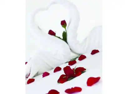 Cherish - 58