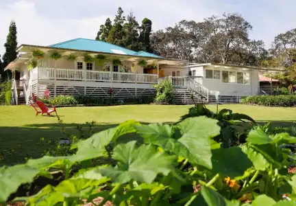 Aloha Junction Bed and Breakfast -Minutes Away from Hawaii Volcanoes National Park - 12