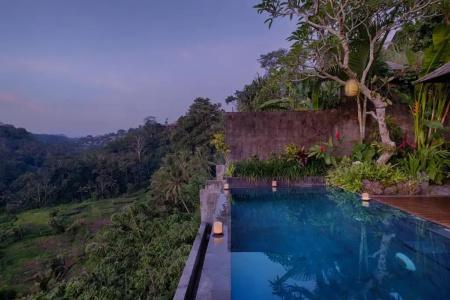 Black Penny Villas Ubud - 43