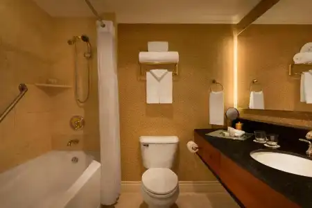 Executive Le Soleil - 17