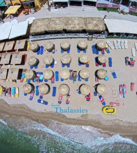 Thalassies - 24