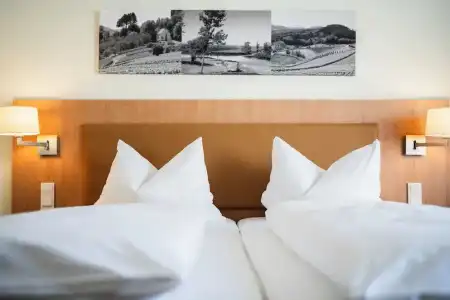 Hotel-Gasthof Rose - 35