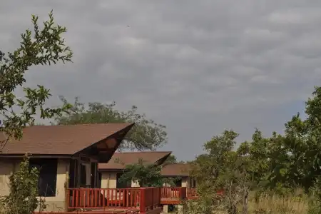 Elephant Rock Luxury Camp Tarangire - 8