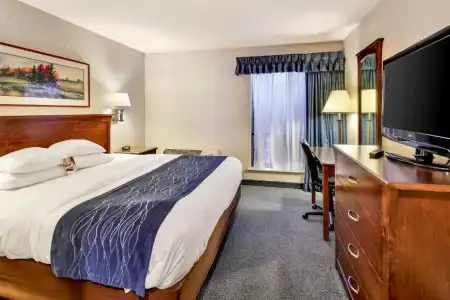 Comfort Inn Bellingham - 42
