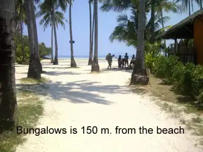 Phi Phi Coralbay - 36