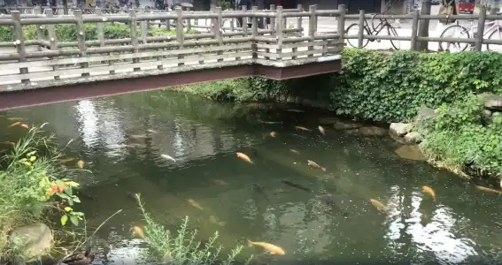 Sapporo Oriental - 4
