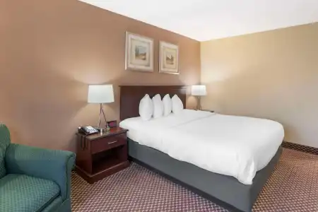 Quality Inn & Suites Bloomington University Area - 4