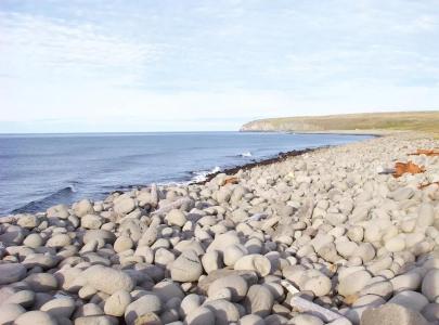 Guesthouse Lyngholt - 15