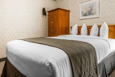 Quality Inn & Suites Silicon Valley - 56