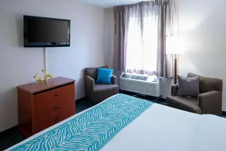 Comfort Inn at the Zoo - 32
