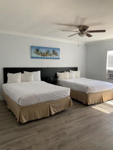 The Palms - 2