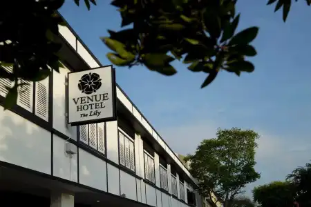 Venue - The Lily - 0