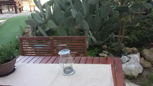 Masseria Villa Marchesi - 314