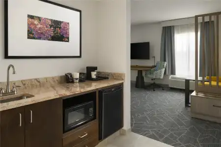 Hampton Inn & Suites Rochester/Henrietta - 62