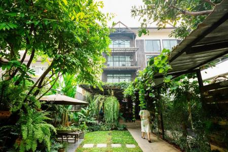Gord Chiangmai - 19