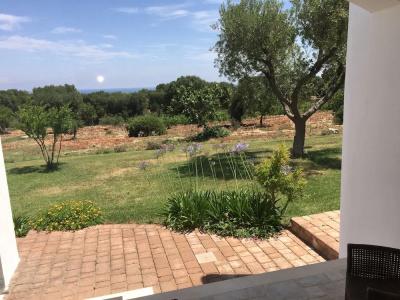 B&B La Vigna - 34