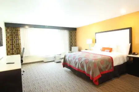 3 Bedroom Community House - 29