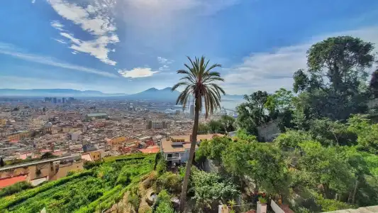 La Pedamentina - 8