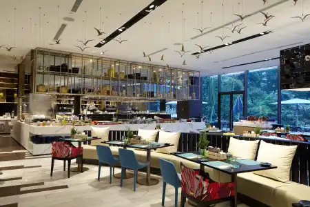 Novotel Singapore on Stevens - 28